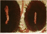 藏品(兩個圓)的圖片