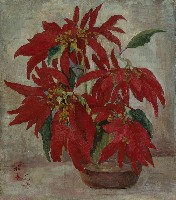 藏品(聖誕紅)的圖片