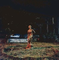 藏品(所在—Statue)的圖片