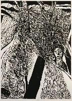 藏品(樹藤)的圖片