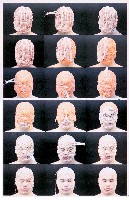 藏品(減法)的圖片