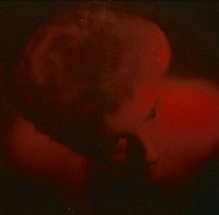 藏品(玻璃天花板)的圖片