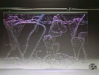 藏品(Now and Here 作品一)的圖片