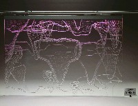 藏品(Now and Here 作品三)的圖片