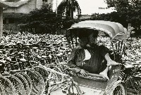 藏品(寄車場)的圖片