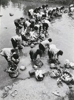 藏品(浣女)的圖片