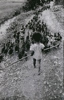 藏品(趕鴨子)的圖片