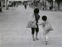 藏品(進城)的圖片