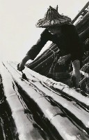 藏品(刷排竹)的圖片