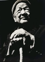 藏品(尊嚴)的圖片