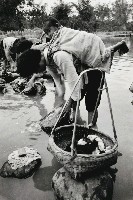 藏品(浣婦)的圖片