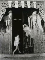 藏品(掠影)的圖片