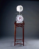 藏品(19.6公斤)的圖片