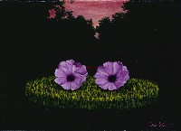 藏品(繫)的圖片