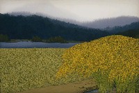 藏品(收割的季節)的圖片