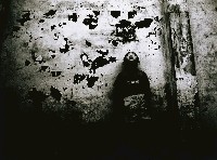 藏品(受限的天真)的圖片