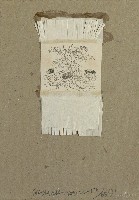 藏品(無題)的圖片