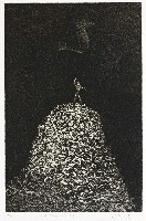 藏品(勝利者)的圖片