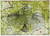 藏品(魚化石)的圖片