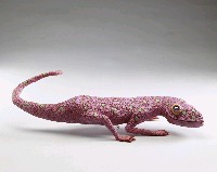 藏品(牆上的龍-4)的圖片