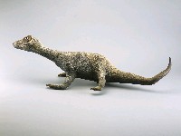 藏品(牆上的龍-9)的圖片