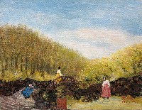 藏品(韓國小姐)的圖片