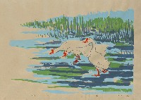 藏品(三鵝)的圖片