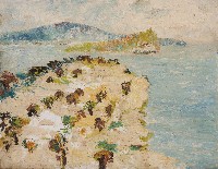 藏品(海景野柳)的圖片