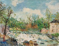 藏品(維州小瀑布之一)的圖片