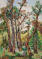 藏品(太平山)的圖片