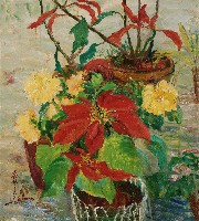 藏品(盆栽)的圖片