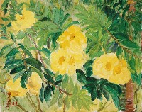 藏品(黃花)的圖片