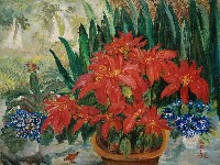 藏品(聖誕紅花豔)的圖片