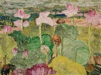 藏品(夏荷)的圖片