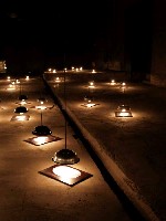 藏品(黑暗中的萌芽(燈))的圖片