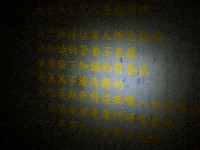 藏品(黑暗中的萌芽(文字))的圖片