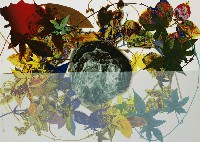 藏品(四季)的圖片