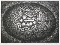 藏品(黑巢II)的圖片