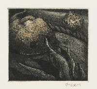 藏品(無題)的圖片