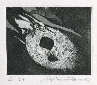 藏品(墜落)的圖片