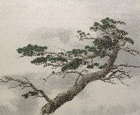 藏品(松)的圖片