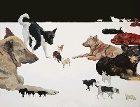 藏品(22 dogs)的圖片