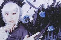 藏品(司 月紅 )的圖片