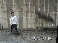 藏品(天降甘霖)的圖片