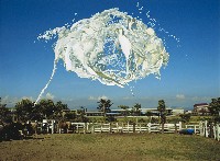 藏品(就算要浪費青春)的圖片