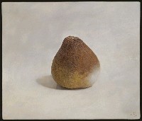 藏品(佔據)的圖片