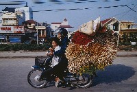 藏品(超負載的機車-花)的圖片