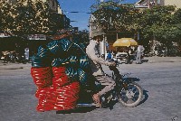 藏品(超負載的機車-園藝水管     )的圖片