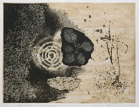 藏品(版圖系列Ｉ－發現)的圖片