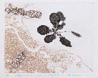 藏品(版圖系列 II－1~5)的圖片